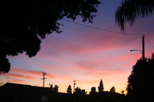 Image 907