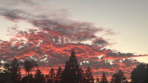 Image 940