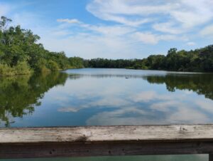 Image 972