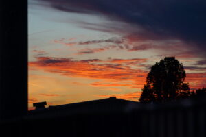 Image 973