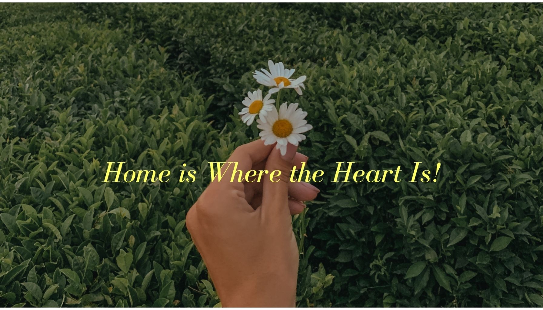 Home is Where the Heart Is : National Photography Competition for Kids
