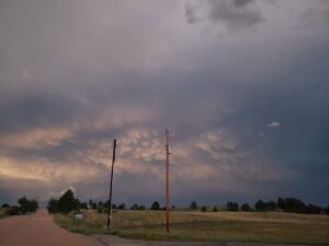 Image 1273