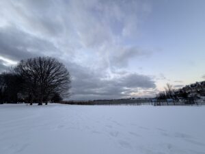 Image 1267