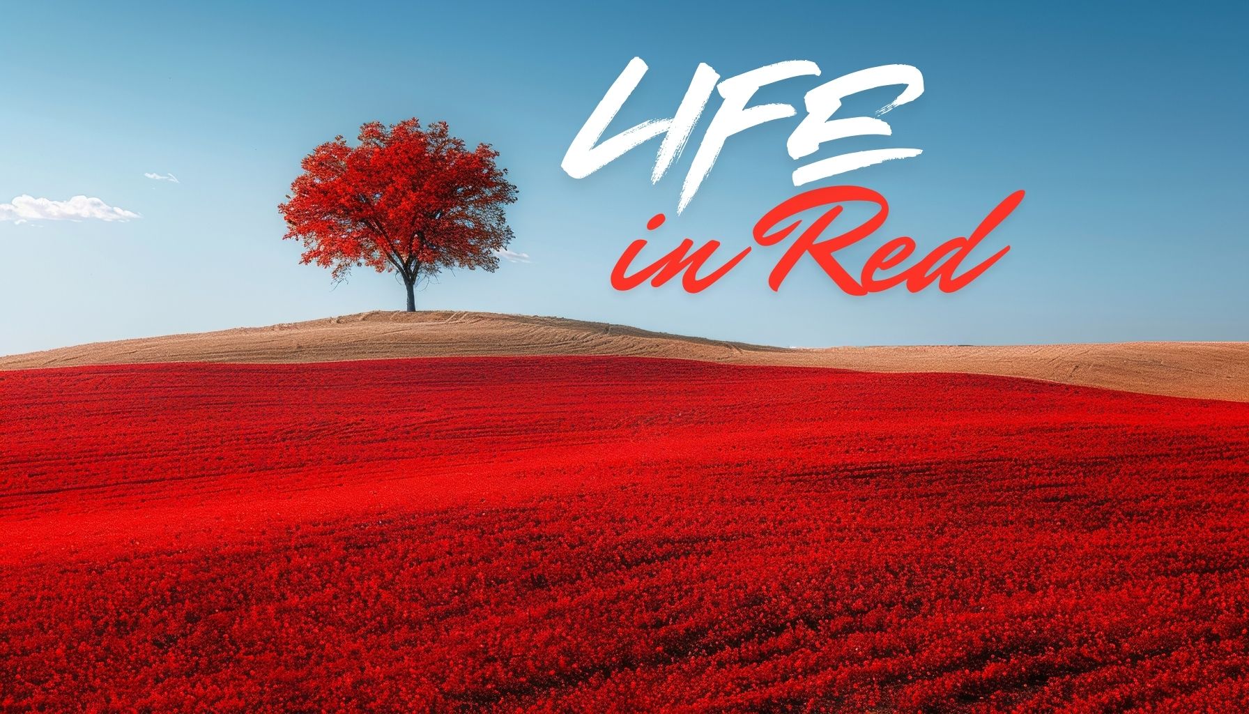 Life in Red: National Photography Competition for Kids